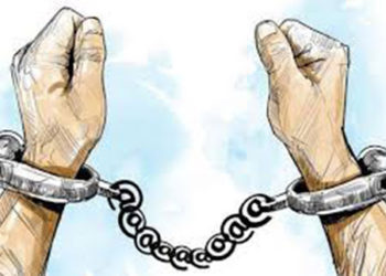 गोरु काट्दै गरेको अवस्थामा तीन युवा पक्राउ