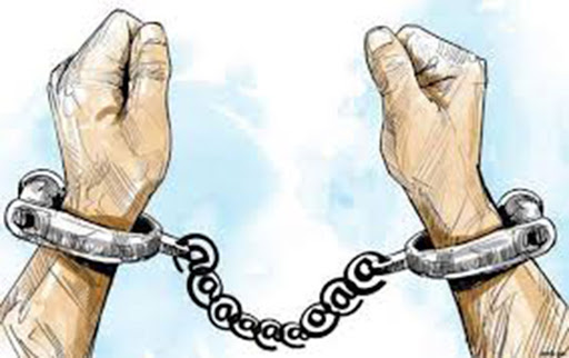 गोरु काट्दै गरेको अवस्थामा तीन युवा पक्राउ