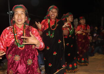 चारभञ्ज्याङ क्षेत्रमा ‘एग्रो टुरिजम’ विकासका लागि प्रवासीको अभियान