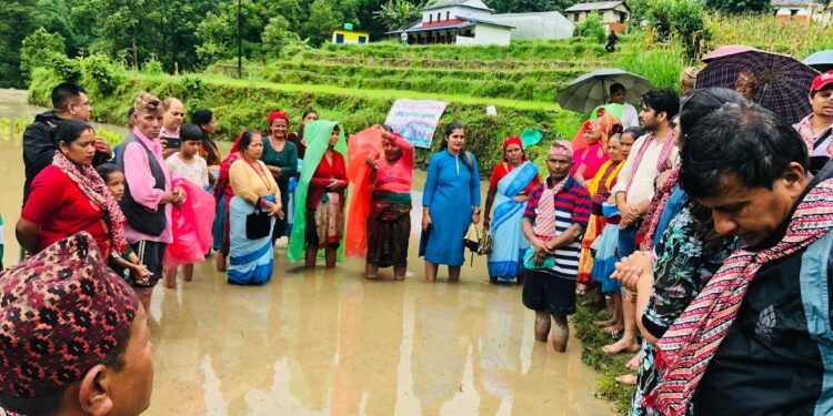 पकुवामा मनाइयो धान दिवस