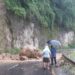 मध्यपहाडी लोकमार्गको चुवा खण्ड र बेनी मालढुंगा सडक पहिरोले अबरुद्ध