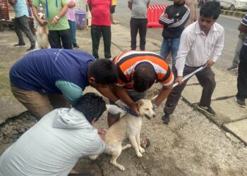 कुश्मा नगरपालिकाको ‘डग सर्चिङ’ अभियान, कुकुर खोज्दै खोप लगाउँदै