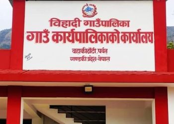 विहादी गाउँपालिकाले सार्वजनिक गर्‍यो आधिकारिक लोगो