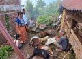 चितुवाको आतंकः महाशिलामा खोरमै पसेर ७ वटा बाख्रा मार्‍यो